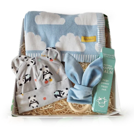 Baby Boy Gift Basket