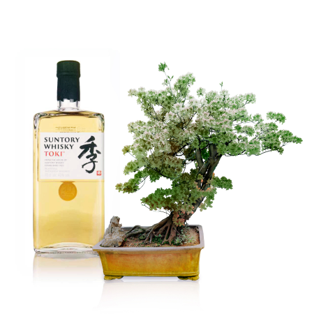 Entspannen Sie sich mit Whisky