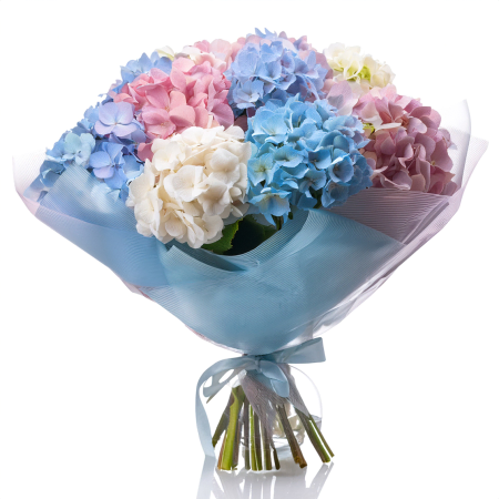 Pastellfarbener Hortensienstrauß