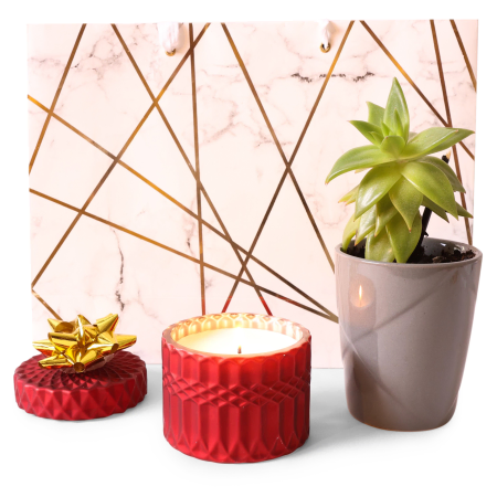 Geschenkset „Friedliche Kerze und Sukkulente“