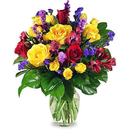 Spaß im Sonnenstrauß