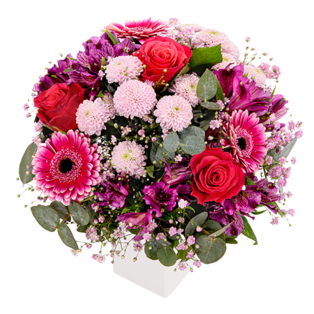 Rosa Flüsterstrauß