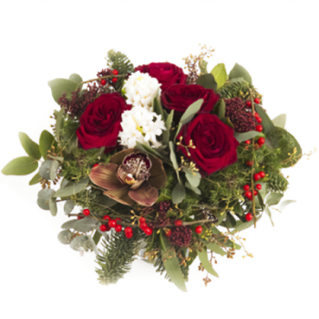 Weihnachten in der Blüte