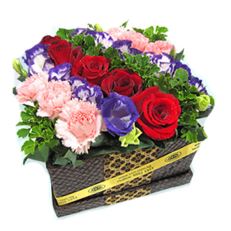 Begünstigt von der Natur